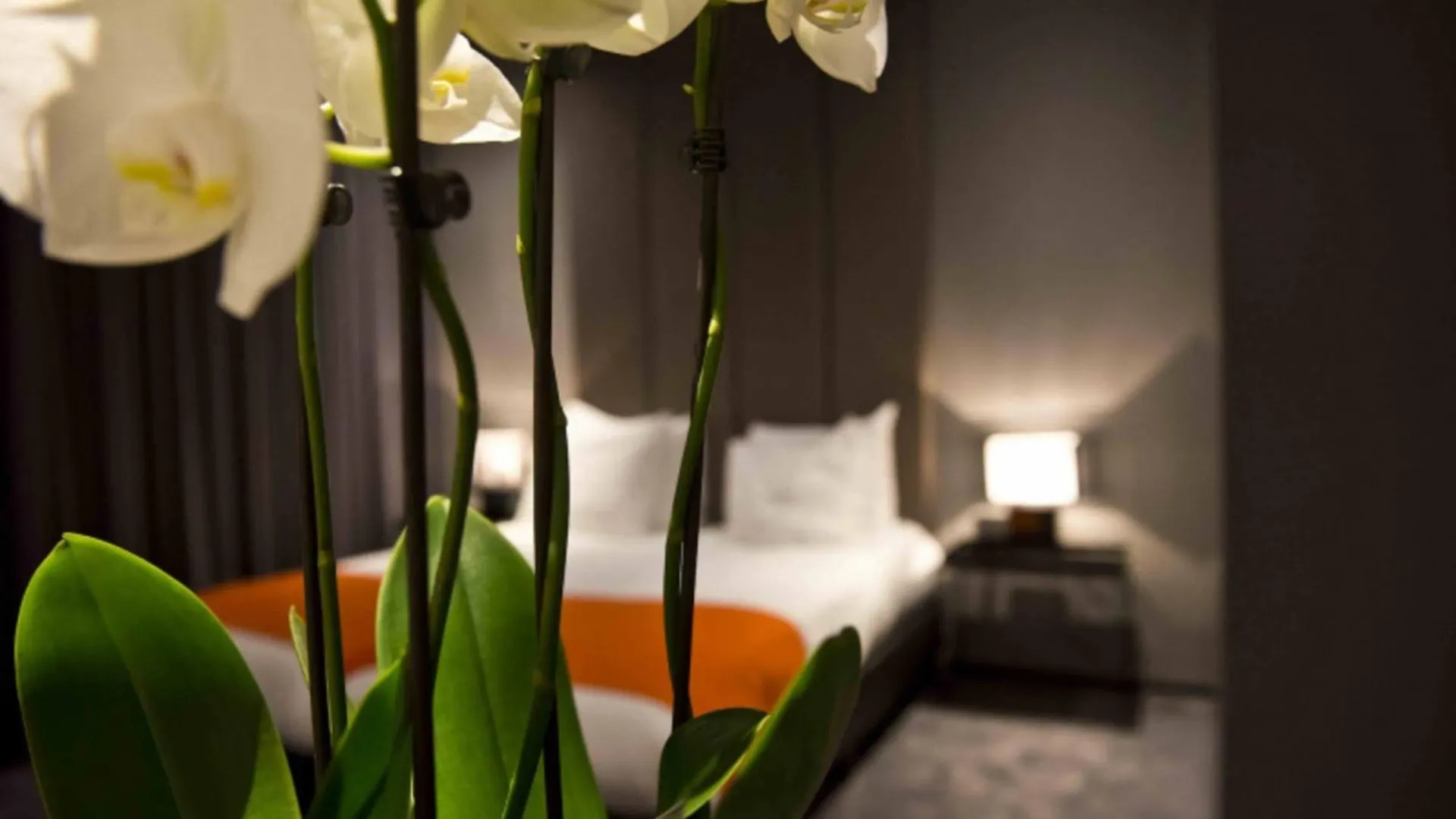 Design Hotel Glow Eindhoven Nederland